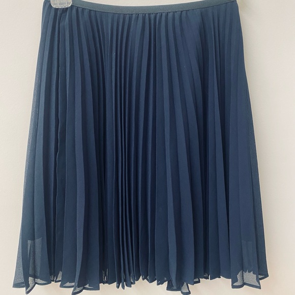Aritzia Navy Sheer Ruffle Skirt Above Knee - Picture 2 of 6